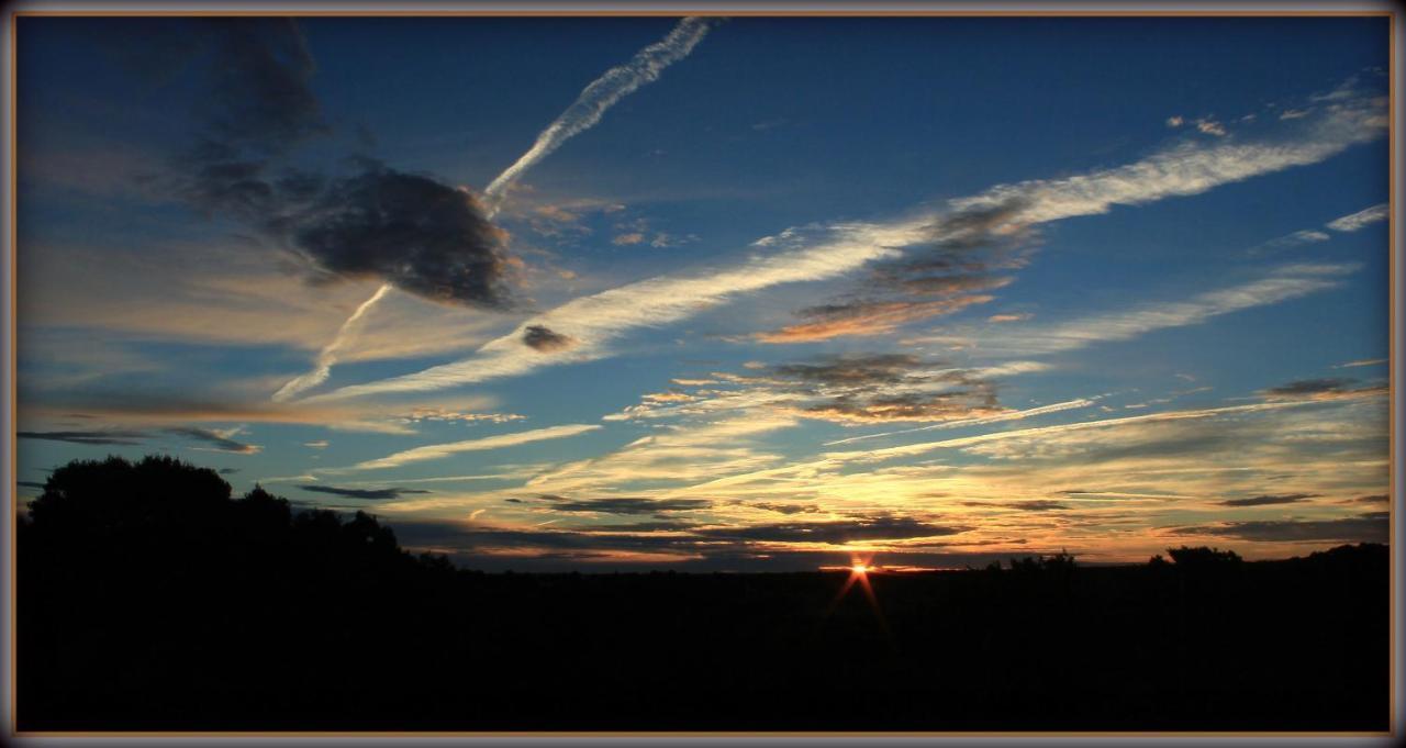 O'Jardin Bed and Breakfast Arthez-de-Bearn Buitenkant foto
