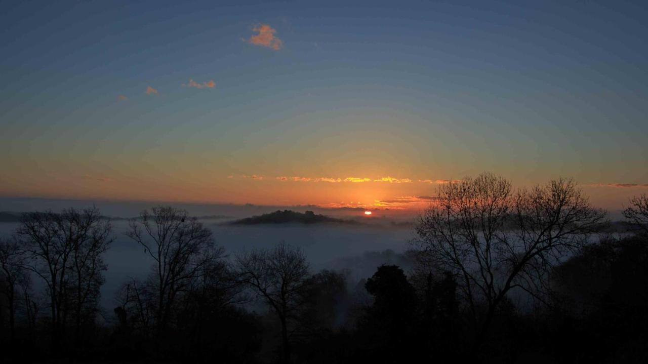 O'Jardin Bed and Breakfast Arthez-de-Bearn Buitenkant foto