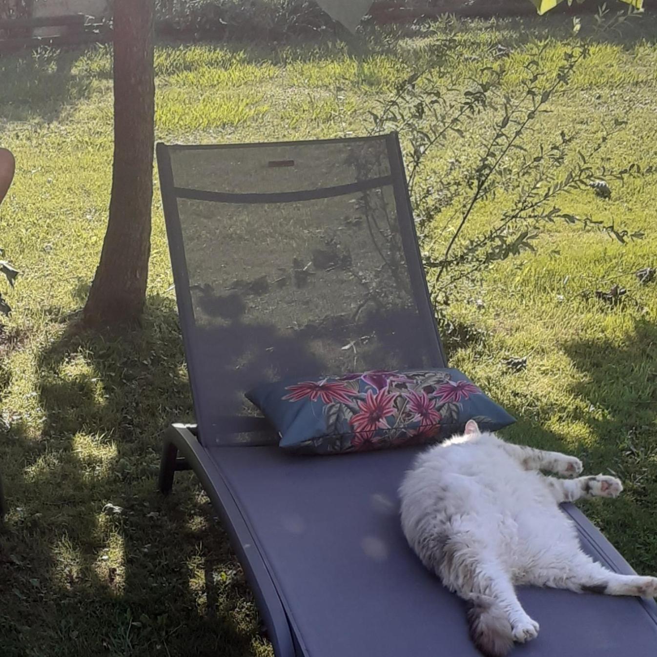 O'Jardin Bed and Breakfast Arthez-de-Bearn Buitenkant foto